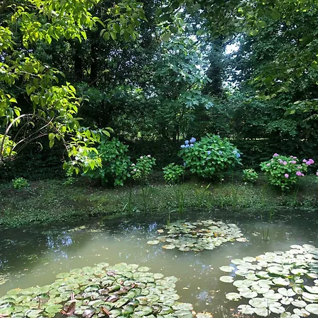 Flaminio